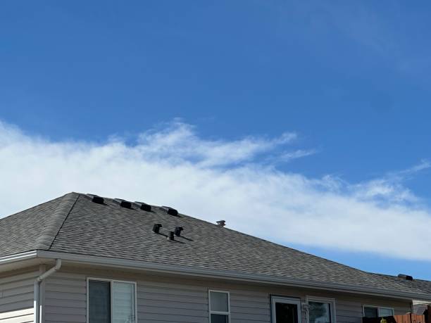 Best Gutter Installation and Repair  in Temperance, MI